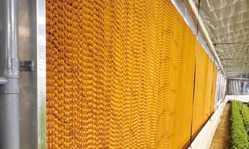 パッド＆ファン